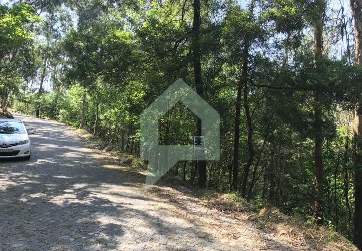 Terreno en Barcelos, Braga, Barcelos - € 25.000 | Ref: 1543 - photo 1