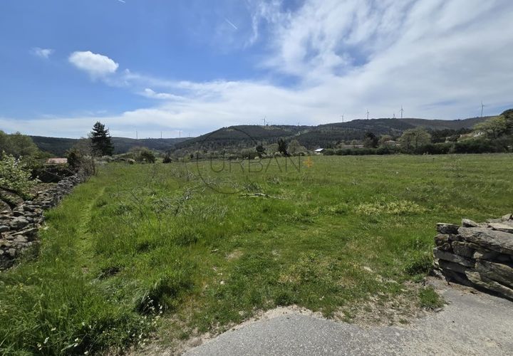 Terra a Moimenta da Beira, Viseu, Moimenta da Beira - € 65.000 | Ref: 0144 - foto 1