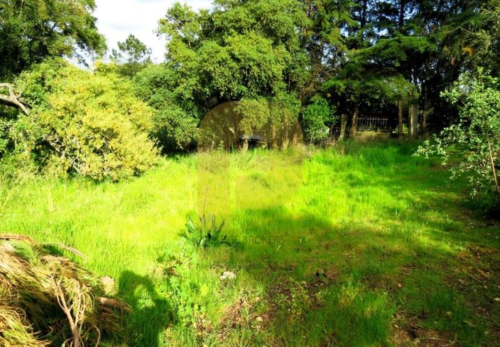 Helårsgrund i Palmela, Setubal, Palmela - € 650.000 | Ref: PB2026493 - foto 1