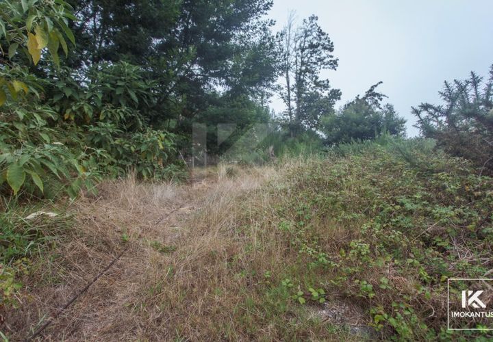 Helårsgrund i Camacha, Madeira, Camacha - € 63.000 | Ref: IK524SC-1 - foto 1