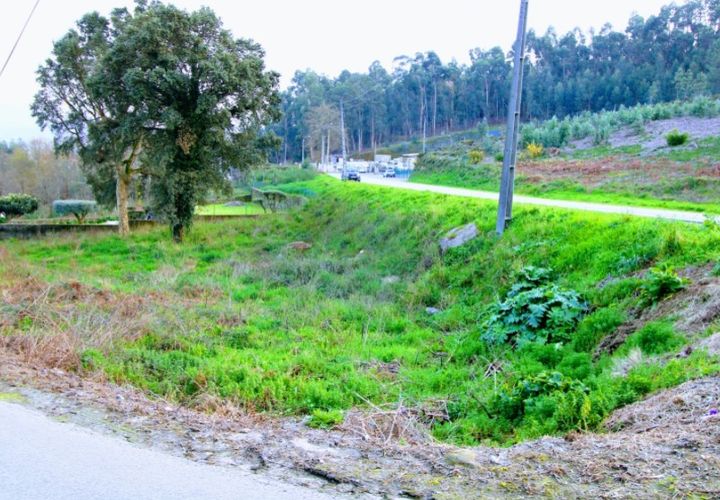 Tomt i Ponte de Lima, Viana do Castelo, Ponte de Lima - € 100 000 | Ref: NH368 - foto 1