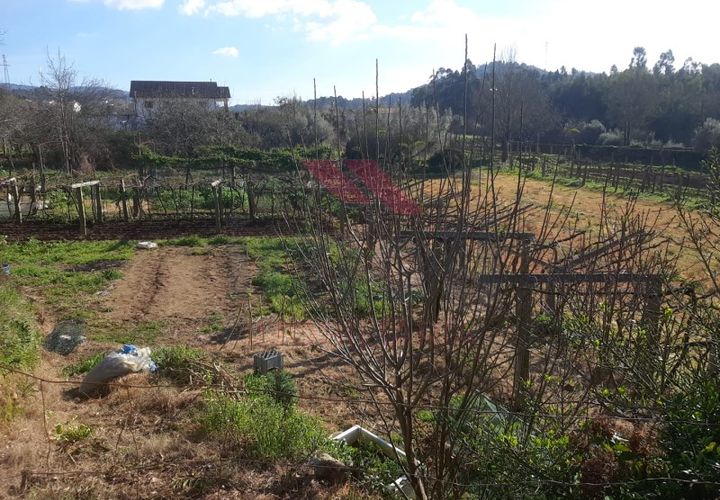 Tomt i Ponte de Lima, Viana do Castelo, Ponte de Lima - € 25 000 | Ref: PTL-1159-AL-0224 - foto 1