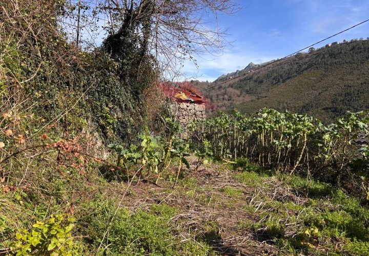 Helårsgrund i Arcos de Valdevez, Viana do Castelo, Arcos de Valdevez - € 15.000 | Ref: AVV-2530-AM-0226 - foto 1