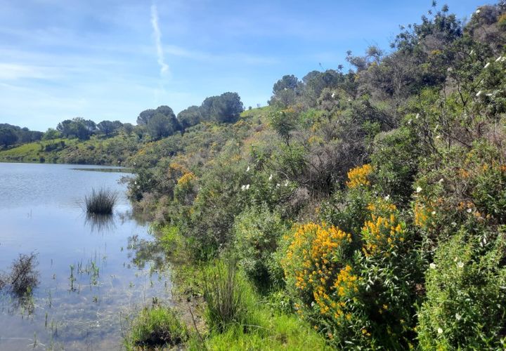 Helårsgrund i Castro Marim, Faro, Castro Marim - € 450.000 | Ref: 280HM - foto 1