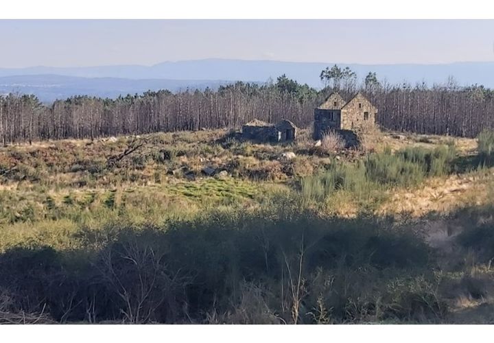 Farm i Viseu, Viseu, Viseu - € 425.000 | Ref: T002 - foto 1