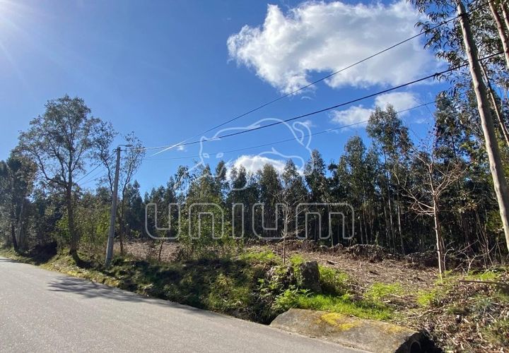 Helårsgrund i Caminha, Viana do Castelo, Caminha - € 120.000 | Ref: R5325 - foto 1