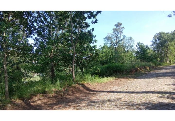 Helårsgrund i Caminha, Viana do Castelo, Caminha - € 67.000 | Ref: C02986 - foto 1