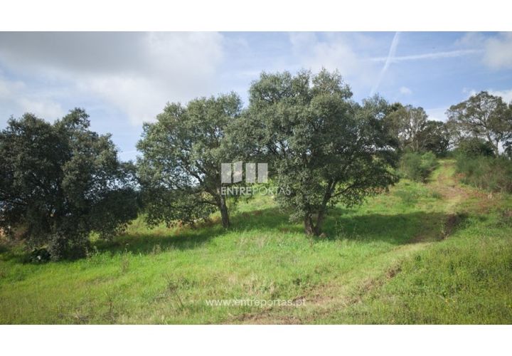 Helårsgrund i Viana do Castelo, Viana do Castelo, Viana do Castelo - € 250.000 | Ref: VCC14042 - foto 1