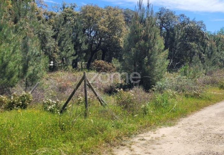 Helårsgrund i Palmela, Setubal, Palmela - € 50.000 | Ref: ZMPT566202 - foto 1