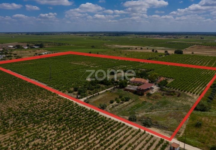 Landejendom i Palmela, Setubal, Palmela - € 800.000 | Ref: ZMPT539944 - foto 1
