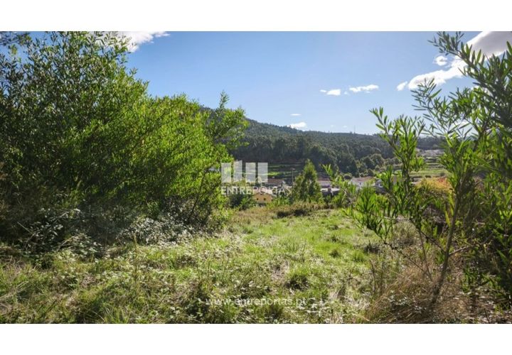 Terra em Outeiro, Viana do Castelo, Outeiro - € 78.000 | Ref: VCC14656 - foto 1