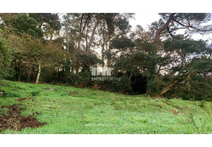 Helårsgrund i Caminha, Viana do Castelo, Caminha - € 180.000 | Ref: C02859(1) - foto 1