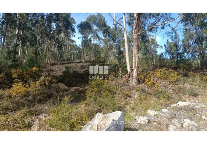 Helårsgrund i Penafiel, Porto, Penafiel - € 30.000 | Ref: MC09646 - foto 1