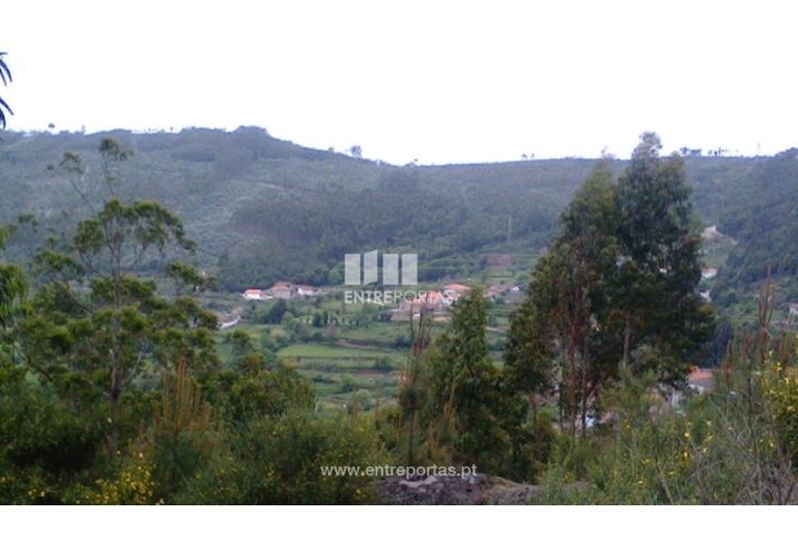 Helårsgrund i Penafiel, Porto, Penafiel - € 9.000 | Ref: MC09519 - foto 1