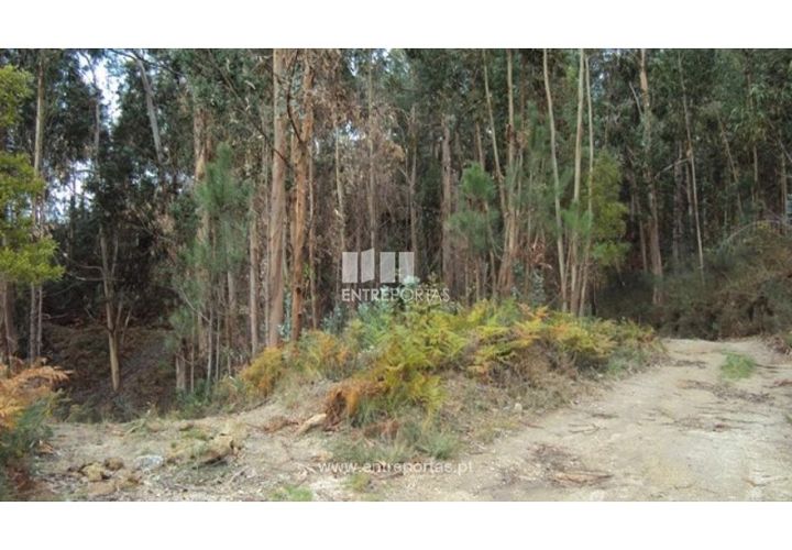 Terra a Galegos, Porto, Galegos - € 21.000 | Ref: MC06301 - foto 1