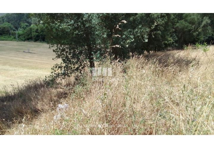 Helårsgrund i Caminha, Viana do Castelo, Caminha - € 100.000 | Ref: C02544 - foto 1