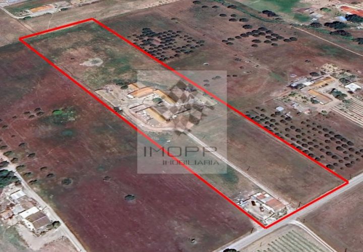 Farm i Palmela, Setubal, Palmela - € 385.000 | Ref: IMOPP-00281 - foto 1