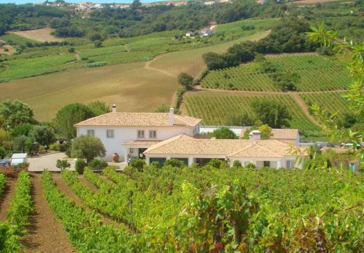 Granja a Carregado, Lisbon, Carregado - € 2.250.000 | Ref: QUI2168 - foto 1