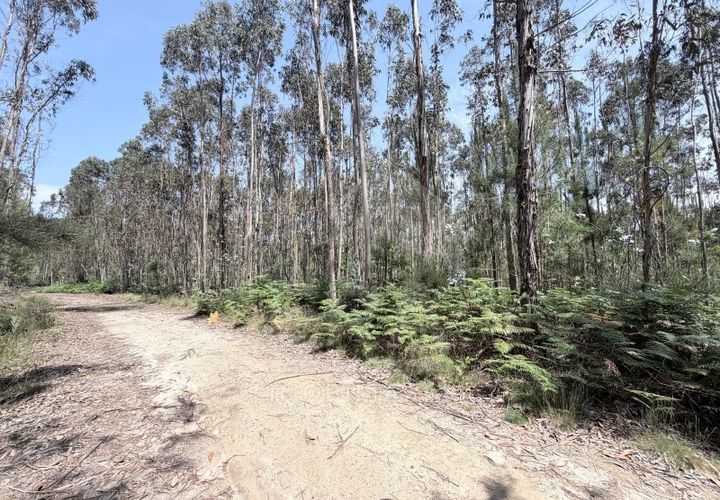 Helårsgrund i Freitas e Vila Cova, Braga, Freitas e Vila Cova - € 62.500 | Ref: 039260051 - foto 1