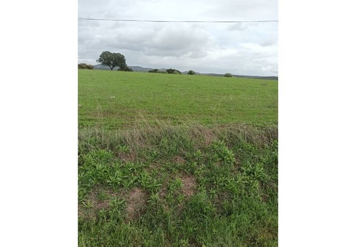 Helårsgrund i Elvas, Portalegre, Elvas - € 20.000 | Ref: TER_81 - foto 1