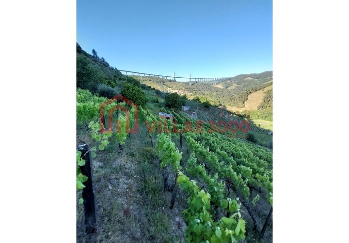 Helårsgrund i Vila Real, Vila Real, Vila Real - € 35.000 | Ref: TER_368 - foto 1