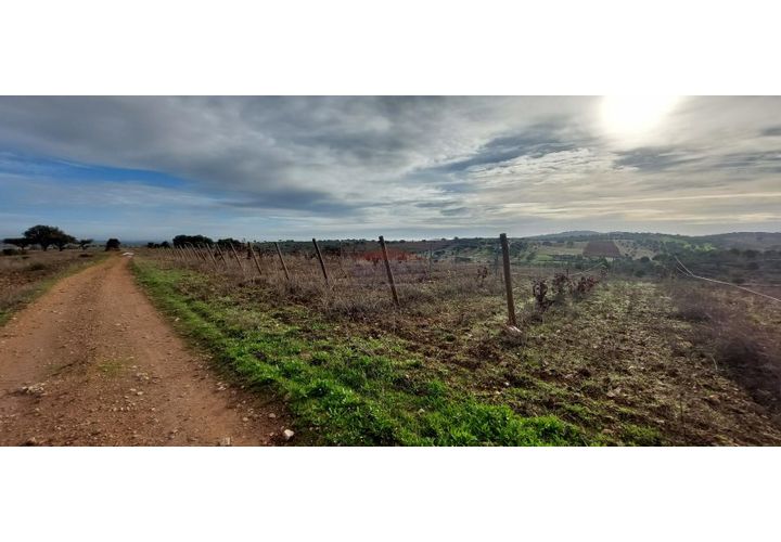 Tomt i Sao Pedro do Corval, Evora, Sao Pedro do Corval - € 110 000 | Ref: SÒL_363 - foto 1