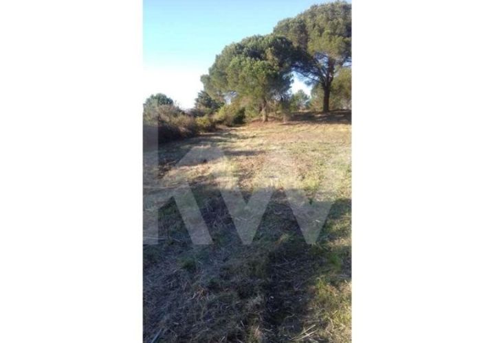Helårsgrund i Cantanhede, Coimbra, Cantanhede - € 25.000 | Ref: 1196-2177 - foto 1