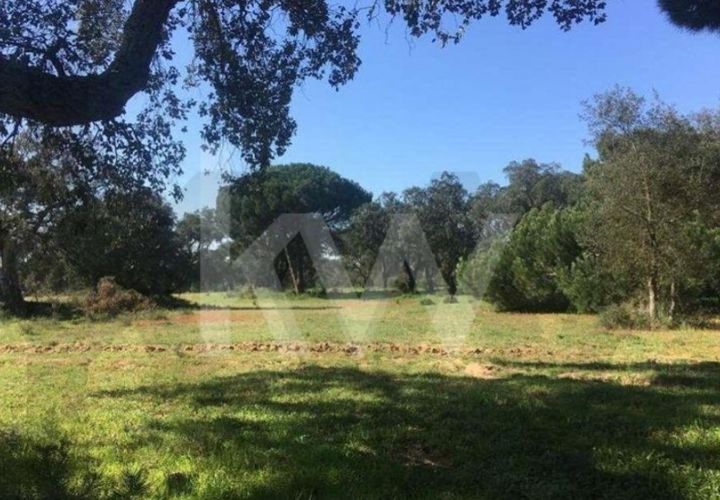 Helårsgrund i Palmela, Setubal, Palmela - € 750.000 | Ref: KWPT-024034 - foto 1