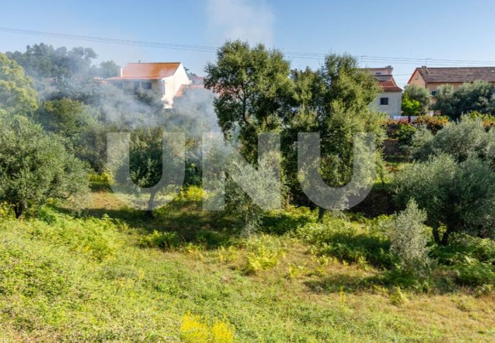 Terra a Dominguizo, Castelo Branco, Dominguizo - € 39.000 | Ref: UNU.I.2025.12348 - foto 1