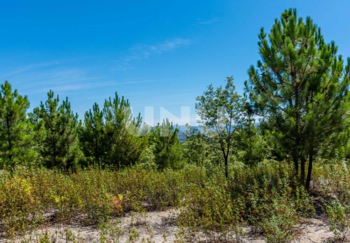 Helårsgrund i Teixoso, Castelo Branco, Teixoso - € 80.000 | Ref: UNU.I.1514.12348 - foto 1
