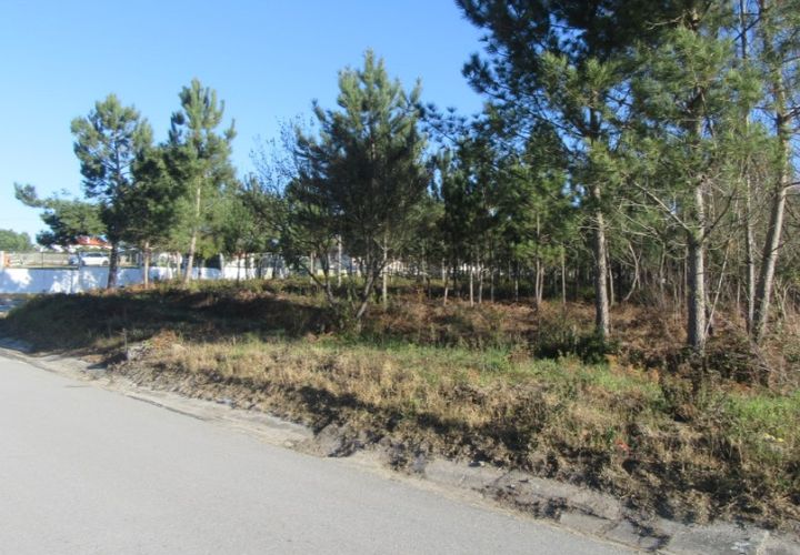 Helårsgrund i Monte Real, Leiria, Monte Real - € 330.000 | Ref: mg1741-5 - foto 1
