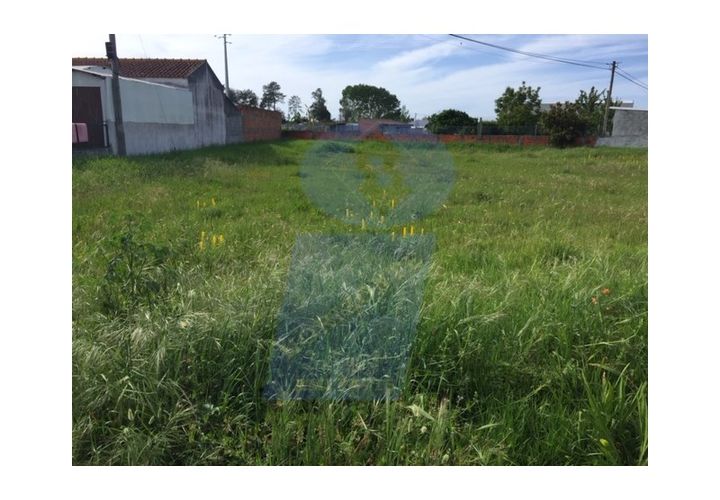 Helårsgrund i Vagos, Aveiro, Vagos - € 50.000 | Ref: TER_607 - foto 1