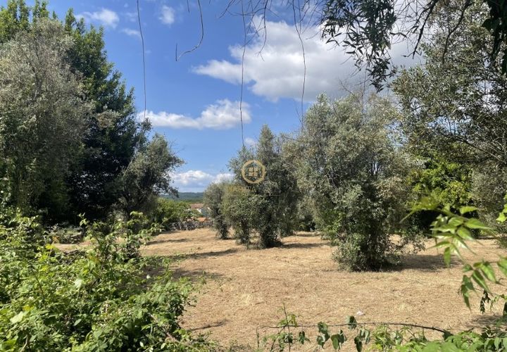 Helårsgrund i Viseu, Viseu, Viseu - € 58.000 | Ref: SÒL_2319 - foto 1