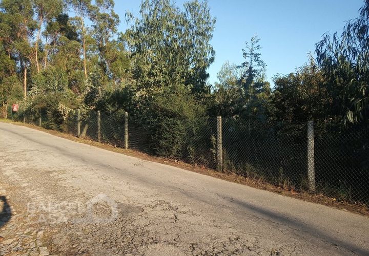 Tomt i Sequeade e Bastuco, Braga, Sequeade e Bastuco - € 200 000 | Ref: 244/20 - foto 1