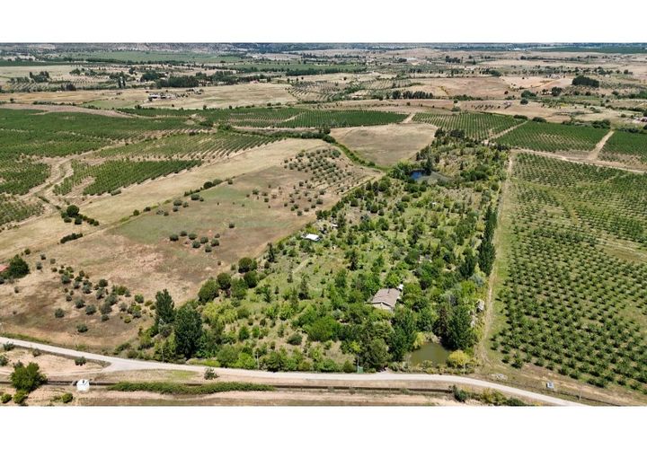 Farm i Ladoeiro, Castelo Branco, Ladoeiro - € 280.000 | Ref: MAS_369 - foto 1