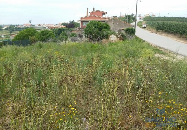Tomt i A dos Francos, Leiria, A dos Francos - € 75 000 | Ref: TC532 - foto 1