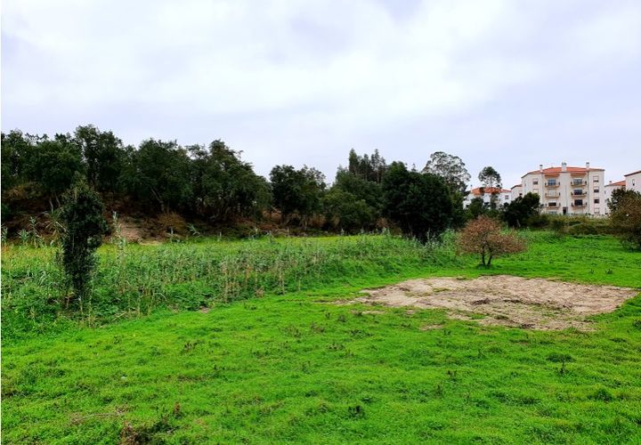 Terra a Santo Onofre e Serra do Bouro, Leiria, Santo Onofre e Serra do Bouro - € 1.300.000 | Ref: BL520 - foto 1