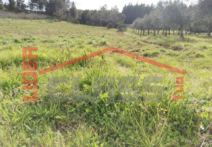 Terra em Vila Flor, Braganca, Vila Flor - € 12.500 | Ref: SÒL_1228 - foto 1
