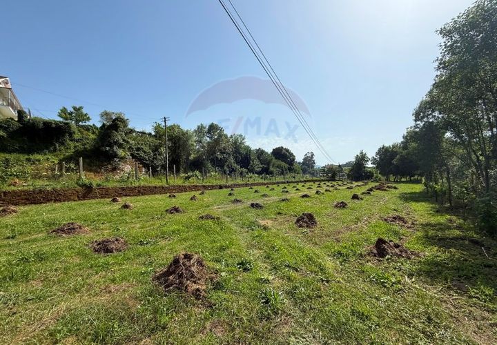 Helårsgrund i Arcos de Valdevez, Viana do Castelo, Arcos de Valdevez - € 31.500 | Ref: 1020-55 - foto 1