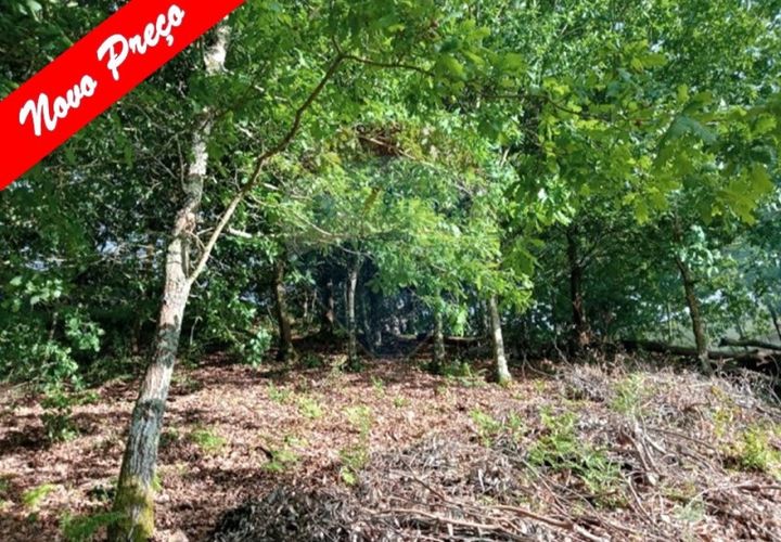 Helårsgrund i Arcos de Valdevez, Viana do Castelo, Arcos de Valdevez - € 51.150 | Ref: 1074-133 - foto 1