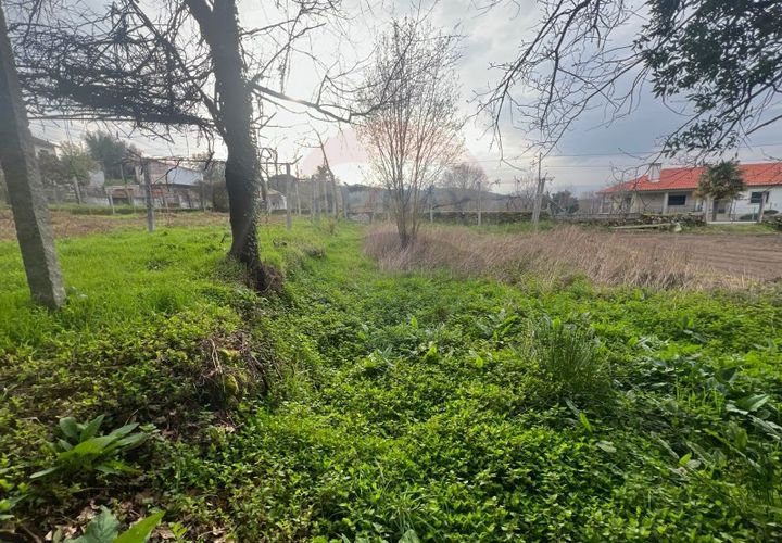 Helårsgrund i Ponte da Barca, Viana do Castelo, Ponte da Barca - € 55.000 | Ref: 126371012-204 - foto 1