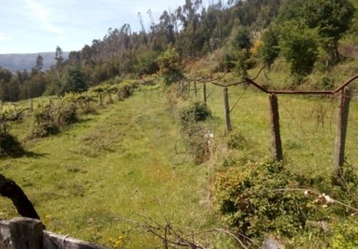 Helårsgrund i Arcos de Valdevez, Viana do Castelo, Arcos de Valdevez - € 10.000 | Ref: 1040-9 - foto 1