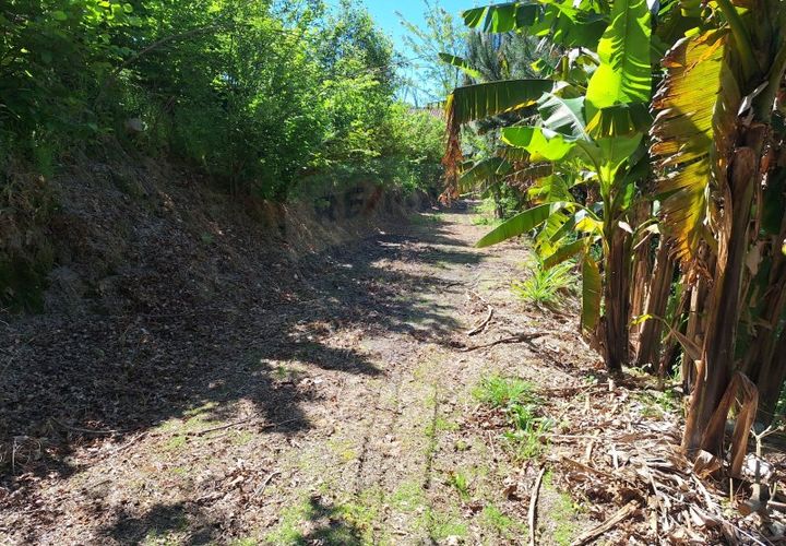 Helårsgrund i Arcos de Valdevez, Viana do Castelo, Arcos de Valdevez - € 45.000 | Ref: 1096-4 - foto 1