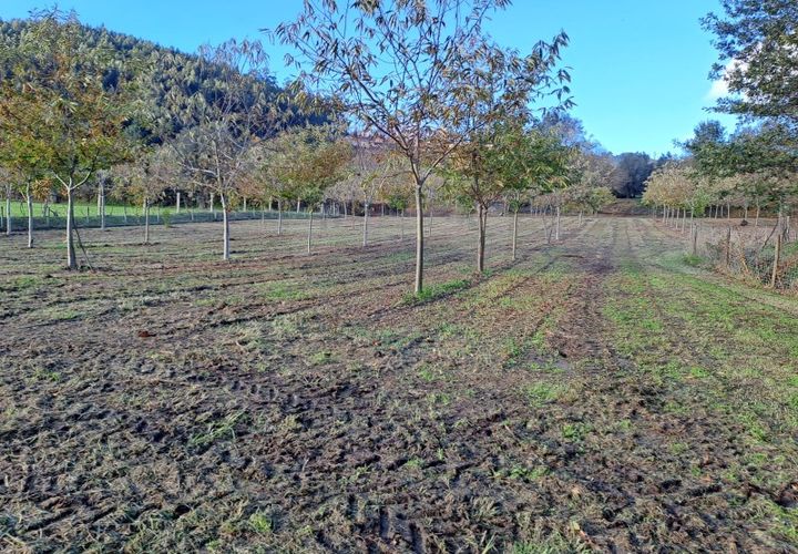 Helårsgrund i Arcos de Valdevez, Viana do Castelo, Arcos de Valdevez - € 47.000 | Ref: 1084-19 - foto 1