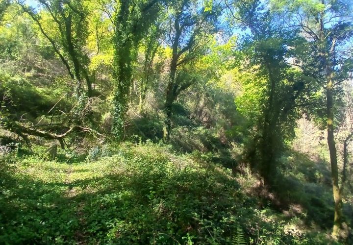 Helårsgrund i Arcos de Valdevez, Viana do Castelo, Arcos de Valdevez - € 40.000 | Ref: 1101-2 - foto 1