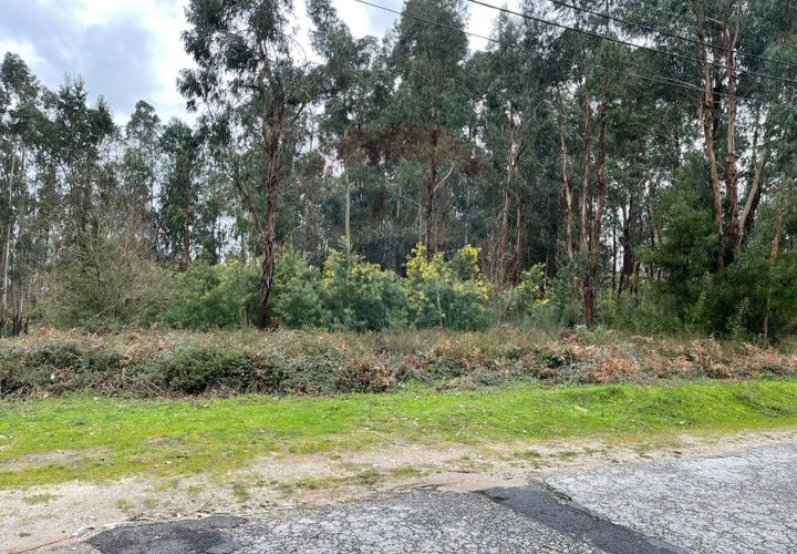 Helårsgrund i Arcos de Valdevez, Viana do Castelo, Arcos de Valdevez - € 39.900 | Ref: 123721101-5 - foto 1