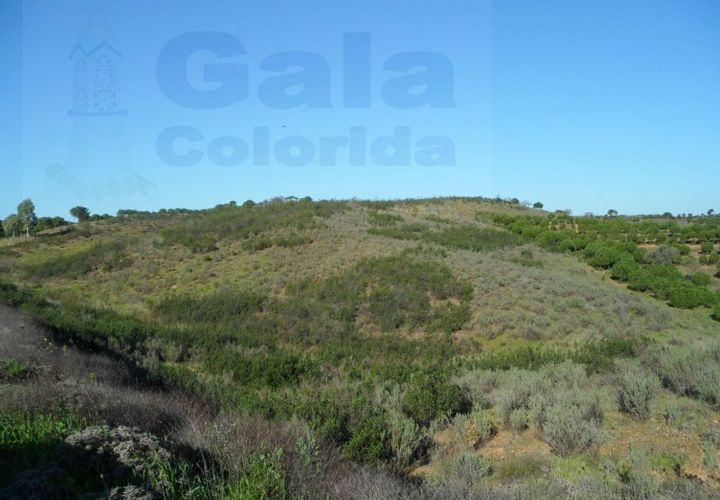 Helårsgrund i Castro Marim, Faro, Castro Marim - € 19.000 | Ref: 1002-844 - foto 1