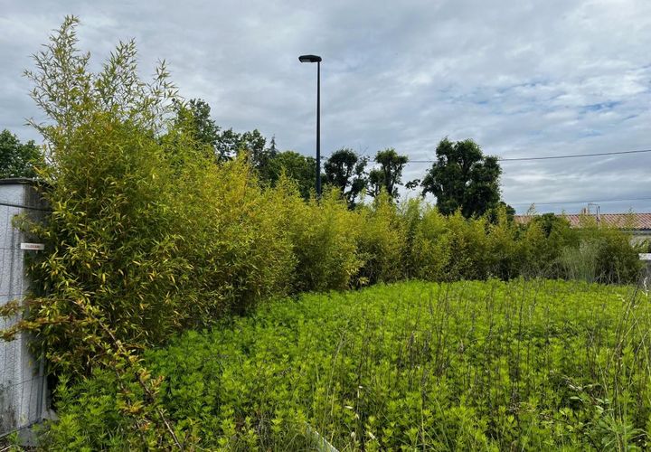 Terreno en Mérignac, Gironde, Mérignac - € 220.000 | Ref: NP-1007-Merignac - photo 1