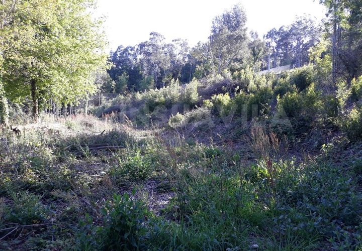 Grond in Venade e Azevedo, Viana do Castelo, Venade e Azevedo - € 115.000 | Ref: 1443 - foto 1