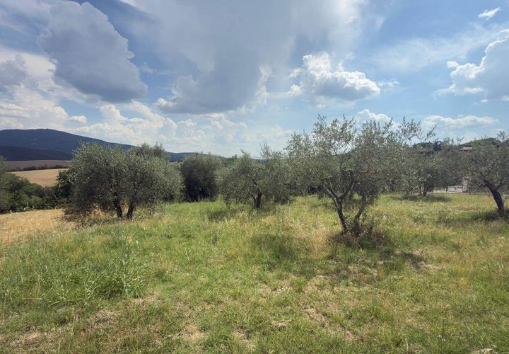 Terra a Panicale, Perugia, Panicale - € 35.000 | Ref: PN1810 - foto 1